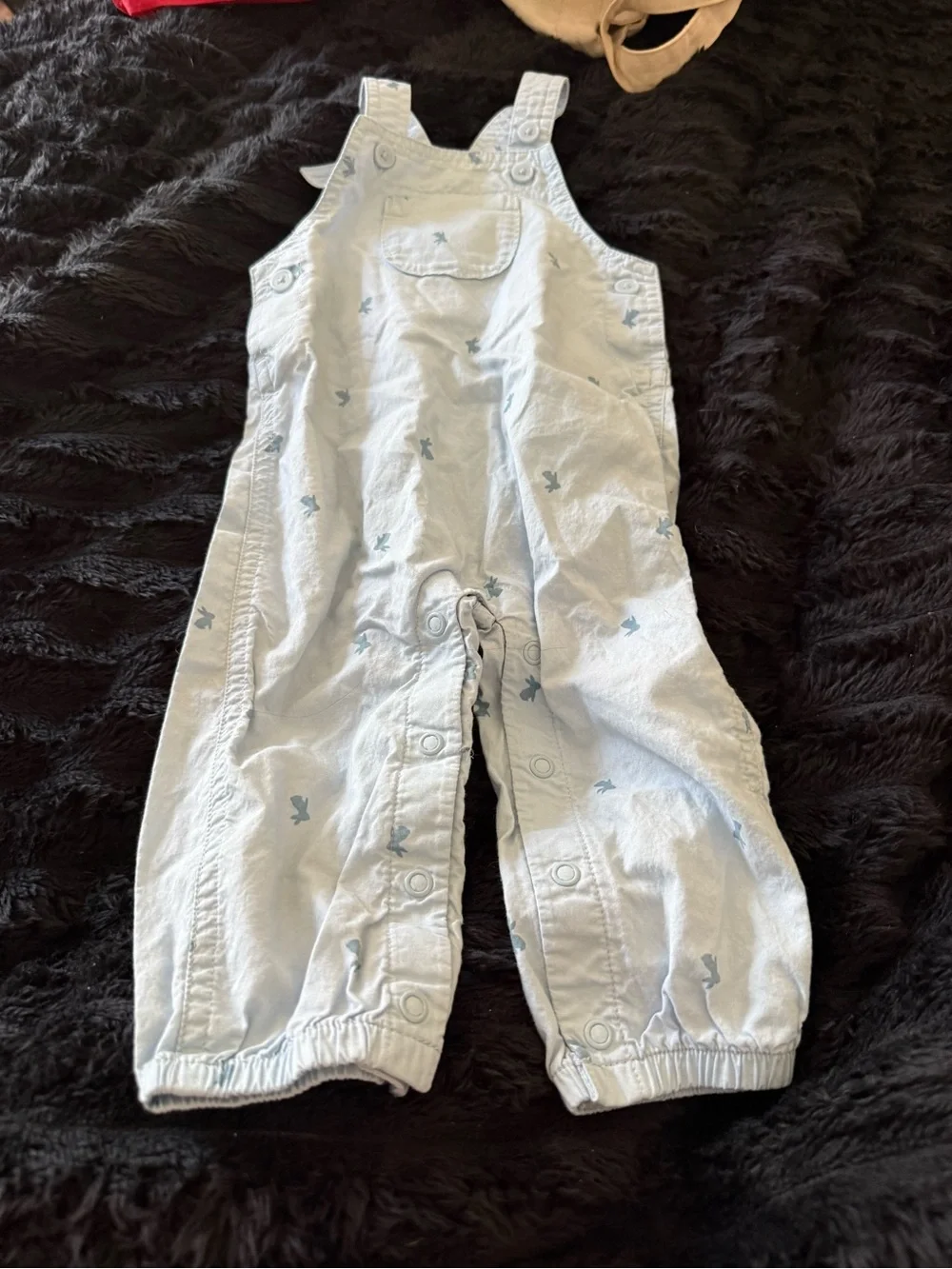 Carter's Light Blue Overalls with Tiny Bird Print